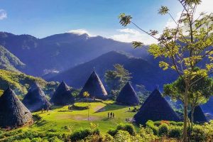 Wisata Labuan Bajo Wisata Labuan Bajo