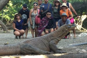 Wisata Labuan Bajo Wisata Labuan Bajo