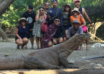 Wisata Labuan Bajo Wisata Labuan Bajo