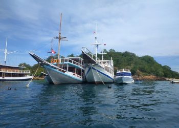 Pesan paket wisata ke Labuan Bajo untuk tiket pesawat+hotel dengan harga promo termurah. Dapatkan penawaran harga terbaik untuk paket liburan Anda Pesan paket wisata ke Labuan Bajo untuk tiket pesawat+hotel dengan harga promo termurah. Dapatkan penawaran harga terbaik untuk paket liburan Anda